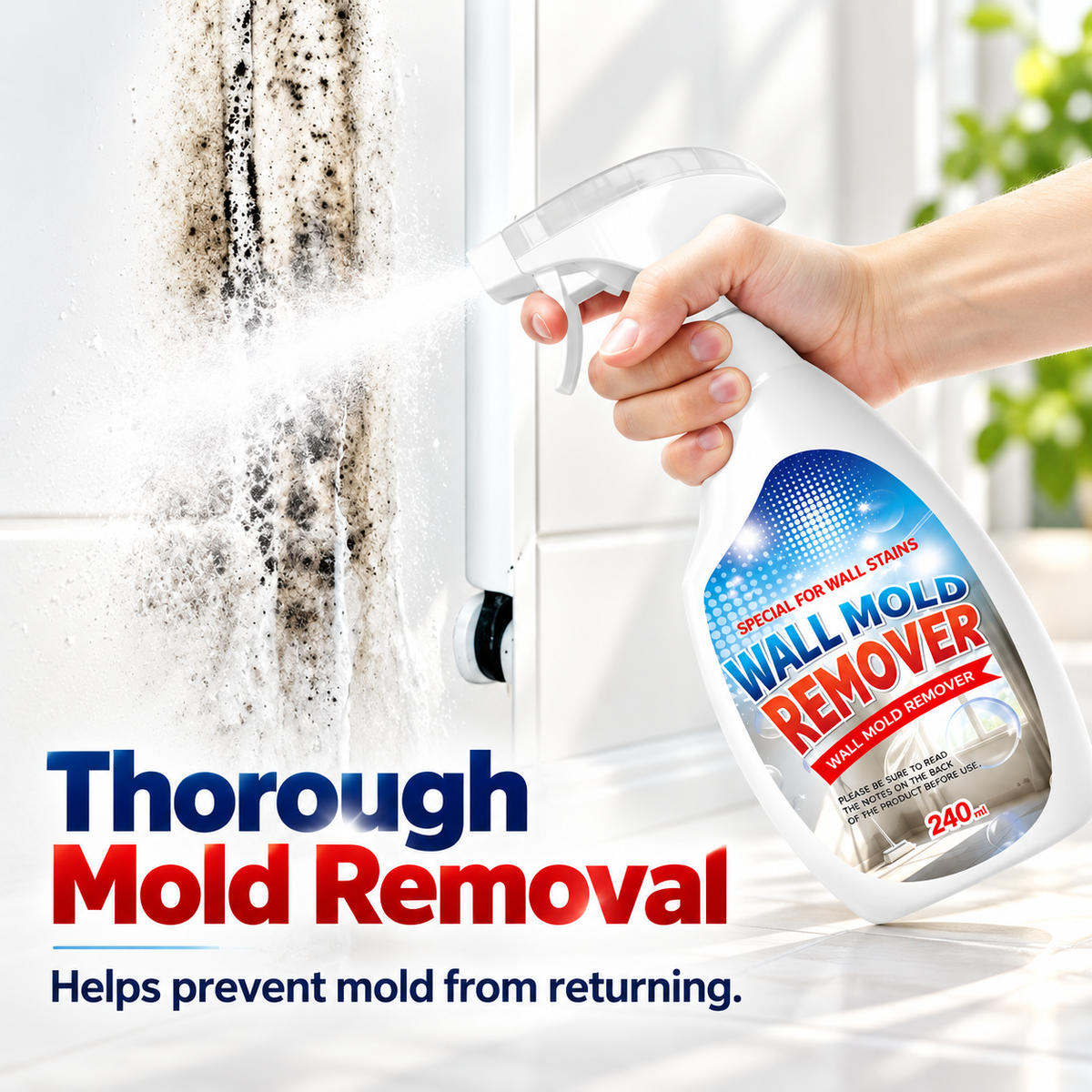 Wall Mold & Mildew Remover Spray