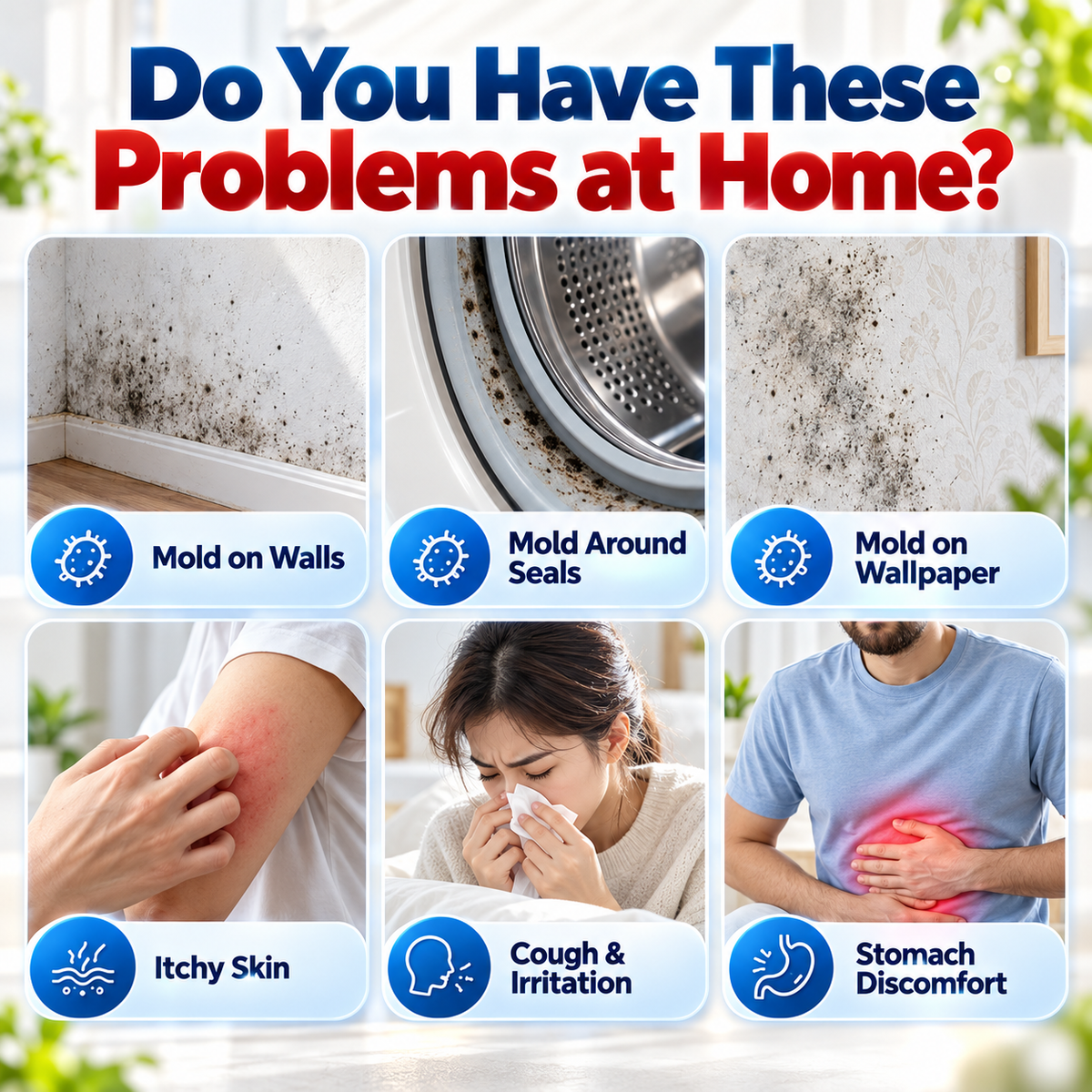 Wall Mold & Mildew Remover Spray