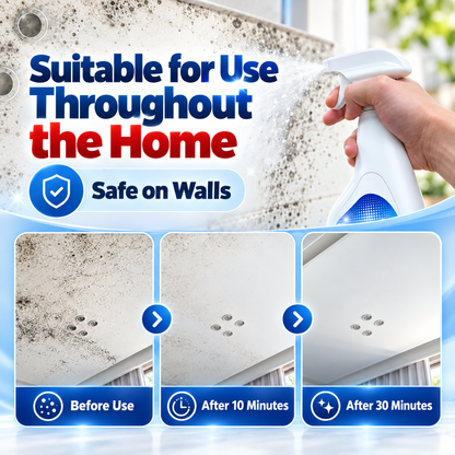 Wall Mold & Mildew Remover Spray